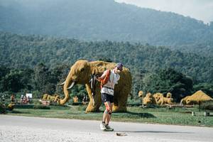 BIB: 
                            <button type="button" onclick="openModal(25896324)" class="btn btn-primary btn-sm float-right btn-popup" data-toggle="modal" data-target=".modal-high-quality">
                        <i class="fas fa-shopping-cart"></i> Add to Cart
                    </button>
                                            <button type="button" onclick="isThisMe(25896324, true)" class="btn btn-success btn-sm float-right btn-popup btn-isme hidden" data-toggle="tooltip" data-placement="bottom" title="นี่คือรูปของคุณใช่ไหม คลิกที่นี่เพื่อเอาเข้าอัลบั้ม">
                        <i class="fas fa-plus"></i> Add to album
                    </button>
                    <button type="button" onclick="isThisMe(25896324, false)" class="btn btn-warning btn-sm float-right btn-popup btn-isnotme hidden">
                        <i class="fas fa-ban"></i> Remove from album
                    </button>