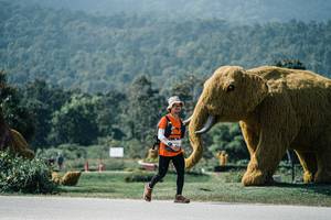 BIB: 
                            <button type="button" onclick="openModal(25967216)" class="btn btn-primary btn-sm float-right btn-popup" data-toggle="modal" data-target=".modal-high-quality">
                        <i class="fas fa-shopping-cart"></i> Add to Cart
                    </button>
                                            <button type="button" onclick="isThisMe(25967216, true)" class="btn btn-success btn-sm float-right btn-popup btn-isme hidden" data-toggle="tooltip" data-placement="bottom" title="นี่คือรูปของคุณใช่ไหม คลิกที่นี่เพื่อเอาเข้าอัลบั้ม">
                        <i class="fas fa-plus"></i> Add to album
                    </button>
                    <button type="button" onclick="isThisMe(25967216, false)" class="btn btn-warning btn-sm float-right btn-popup btn-isnotme hidden">
                        <i class="fas fa-ban"></i> Remove from album
                    </button>