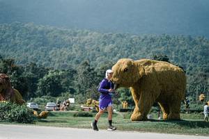 BIB: 
                            <button type="button" onclick="openModal(25935042)" class="btn btn-primary btn-sm float-right btn-popup" data-toggle="modal" data-target=".modal-high-quality">
                        <i class="fas fa-shopping-cart"></i> Add to Cart
                    </button>
                                            <button type="button" onclick="isThisMe(25935042, true)" class="btn btn-success btn-sm float-right btn-popup btn-isme hidden" data-toggle="tooltip" data-placement="bottom" title="นี่คือรูปของคุณใช่ไหม คลิกที่นี่เพื่อเอาเข้าอัลบั้ม">
                        <i class="fas fa-plus"></i> Add to album
                    </button>
                    <button type="button" onclick="isThisMe(25935042, false)" class="btn btn-warning btn-sm float-right btn-popup btn-isnotme hidden">
                        <i class="fas fa-ban"></i> Remove from album
                    </button>