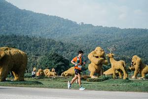 BIB: 
                            <button type="button" onclick="openModal(25871794)" class="btn btn-primary btn-sm float-right btn-popup" data-toggle="modal" data-target=".modal-high-quality">
                        <i class="fas fa-shopping-cart"></i> Add to Cart
                    </button>
                                            <button type="button" onclick="isThisMe(25871794, true)" class="btn btn-success btn-sm float-right btn-popup btn-isme hidden" data-toggle="tooltip" data-placement="bottom" title="นี่คือรูปของคุณใช่ไหม คลิกที่นี่เพื่อเอาเข้าอัลบั้ม">
                        <i class="fas fa-plus"></i> Add to album
                    </button>
                    <button type="button" onclick="isThisMe(25871794, false)" class="btn btn-warning btn-sm float-right btn-popup btn-isnotme hidden">
                        <i class="fas fa-ban"></i> Remove from album
                    </button>