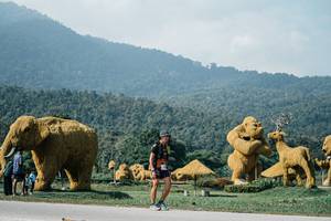 BIB: 
                            <button type="button" onclick="openModal(25891118)" class="btn btn-primary btn-sm float-right btn-popup" data-toggle="modal" data-target=".modal-high-quality">
                        <i class="fas fa-shopping-cart"></i> Add to Cart
                    </button>
                                            <button type="button" onclick="isThisMe(25891118, true)" class="btn btn-success btn-sm float-right btn-popup btn-isme hidden" data-toggle="tooltip" data-placement="bottom" title="นี่คือรูปของคุณใช่ไหม คลิกที่นี่เพื่อเอาเข้าอัลบั้ม">
                        <i class="fas fa-plus"></i> Add to album
                    </button>
                    <button type="button" onclick="isThisMe(25891118, false)" class="btn btn-warning btn-sm float-right btn-popup btn-isnotme hidden">
                        <i class="fas fa-ban"></i> Remove from album
                    </button>