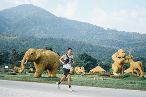 BIB: 
                            <button type="button" onclick="openModal(25869959)" class="btn btn-primary btn-sm float-right btn-popup" data-toggle="modal" data-target=".modal-high-quality">
                        <i class="fas fa-shopping-cart"></i> Add to Cart
                    </button>
                                            <button type="button" onclick="isThisMe(25869959, true)" class="btn btn-success btn-sm float-right btn-popup btn-isme hidden" data-toggle="tooltip" data-placement="bottom" title="นี่คือรูปของคุณใช่ไหม คลิกที่นี่เพื่อเอาเข้าอัลบั้ม">
                        <i class="fas fa-plus"></i> Add to album
                    </button>
                    <button type="button" onclick="isThisMe(25869959, false)" class="btn btn-warning btn-sm float-right btn-popup btn-isnotme hidden">
                        <i class="fas fa-ban"></i> Remove from album
                    </button>