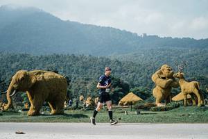 BIB: 
                            <button type="button" onclick="openModal(25905695)" class="btn btn-primary btn-sm float-right btn-popup" data-toggle="modal" data-target=".modal-high-quality">
                        <i class="fas fa-shopping-cart"></i> Add to Cart
                    </button>
                                            <button type="button" onclick="isThisMe(25905695, true)" class="btn btn-success btn-sm float-right btn-popup btn-isme hidden" data-toggle="tooltip" data-placement="bottom" title="นี่คือรูปของคุณใช่ไหม คลิกที่นี่เพื่อเอาเข้าอัลบั้ม">
                        <i class="fas fa-plus"></i> Add to album
                    </button>
                    <button type="button" onclick="isThisMe(25905695, false)" class="btn btn-warning btn-sm float-right btn-popup btn-isnotme hidden">
                        <i class="fas fa-ban"></i> Remove from album
                    </button>