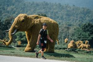 BIB: 
                            <button type="button" onclick="openModal(25961590)" class="btn btn-primary btn-sm float-right btn-popup" data-toggle="modal" data-target=".modal-high-quality">
                        <i class="fas fa-shopping-cart"></i> Add to Cart
                    </button>
                                            <button type="button" onclick="isThisMe(25961590, true)" class="btn btn-success btn-sm float-right btn-popup btn-isme hidden" data-toggle="tooltip" data-placement="bottom" title="นี่คือรูปของคุณใช่ไหม คลิกที่นี่เพื่อเอาเข้าอัลบั้ม">
                        <i class="fas fa-plus"></i> Add to album
                    </button>
                    <button type="button" onclick="isThisMe(25961590, false)" class="btn btn-warning btn-sm float-right btn-popup btn-isnotme hidden">
                        <i class="fas fa-ban"></i> Remove from album
                    </button>