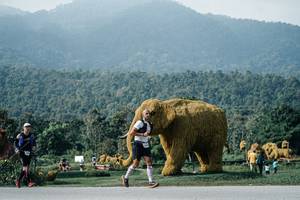 BIB: 
                            <button type="button" onclick="openModal(25892536)" class="btn btn-primary btn-sm float-right btn-popup" data-toggle="modal" data-target=".modal-high-quality">
                        <i class="fas fa-shopping-cart"></i> Add to Cart
                    </button>
                                            <button type="button" onclick="isThisMe(25892536, true)" class="btn btn-success btn-sm float-right btn-popup btn-isme hidden" data-toggle="tooltip" data-placement="bottom" title="นี่คือรูปของคุณใช่ไหม คลิกที่นี่เพื่อเอาเข้าอัลบั้ม">
                        <i class="fas fa-plus"></i> Add to album
                    </button>
                    <button type="button" onclick="isThisMe(25892536, false)" class="btn btn-warning btn-sm float-right btn-popup btn-isnotme hidden">
                        <i class="fas fa-ban"></i> Remove from album
                    </button>