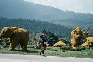 BIB: 
                            <button type="button" onclick="openModal(25963624)" class="btn btn-primary btn-sm float-right btn-popup" data-toggle="modal" data-target=".modal-high-quality">
                        <i class="fas fa-shopping-cart"></i> Add to Cart
                    </button>
                                            <button type="button" onclick="isThisMe(25963624, true)" class="btn btn-success btn-sm float-right btn-popup btn-isme hidden" data-toggle="tooltip" data-placement="bottom" title="นี่คือรูปของคุณใช่ไหม คลิกที่นี่เพื่อเอาเข้าอัลบั้ม">
                        <i class="fas fa-plus"></i> Add to album
                    </button>
                    <button type="button" onclick="isThisMe(25963624, false)" class="btn btn-warning btn-sm float-right btn-popup btn-isnotme hidden">
                        <i class="fas fa-ban"></i> Remove from album
                    </button>