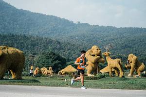 BIB: 
                            <button type="button" onclick="openModal(25871806)" class="btn btn-primary btn-sm float-right btn-popup" data-toggle="modal" data-target=".modal-high-quality">
                        <i class="fas fa-shopping-cart"></i> Add to Cart
                    </button>
                                            <button type="button" onclick="isThisMe(25871806, true)" class="btn btn-success btn-sm float-right btn-popup btn-isme hidden" data-toggle="tooltip" data-placement="bottom" title="นี่คือรูปของคุณใช่ไหม คลิกที่นี่เพื่อเอาเข้าอัลบั้ม">
                        <i class="fas fa-plus"></i> Add to album
                    </button>
                    <button type="button" onclick="isThisMe(25871806, false)" class="btn btn-warning btn-sm float-right btn-popup btn-isnotme hidden">
                        <i class="fas fa-ban"></i> Remove from album
                    </button>