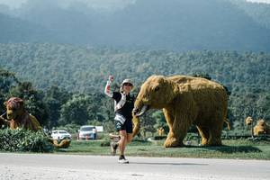 BIB: 
                            <button type="button" onclick="openModal(25949857)" class="btn btn-primary btn-sm float-right btn-popup" data-toggle="modal" data-target=".modal-high-quality">
                        <i class="fas fa-shopping-cart"></i> Add to Cart
                    </button>
                                            <button type="button" onclick="isThisMe(25949857, true)" class="btn btn-success btn-sm float-right btn-popup btn-isme hidden" data-toggle="tooltip" data-placement="bottom" title="นี่คือรูปของคุณใช่ไหม คลิกที่นี่เพื่อเอาเข้าอัลบั้ม">
                        <i class="fas fa-plus"></i> Add to album
                    </button>
                    <button type="button" onclick="isThisMe(25949857, false)" class="btn btn-warning btn-sm float-right btn-popup btn-isnotme hidden">
                        <i class="fas fa-ban"></i> Remove from album
                    </button>