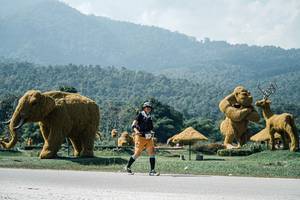 BIB: 
                            <button type="button" onclick="openModal(25982855)" class="btn btn-primary btn-sm float-right btn-popup" data-toggle="modal" data-target=".modal-high-quality">
                        <i class="fas fa-shopping-cart"></i> Add to Cart
                    </button>
                                            <button type="button" onclick="isThisMe(25982855, true)" class="btn btn-success btn-sm float-right btn-popup btn-isme hidden" data-toggle="tooltip" data-placement="bottom" title="นี่คือรูปของคุณใช่ไหม คลิกที่นี่เพื่อเอาเข้าอัลบั้ม">
                        <i class="fas fa-plus"></i> Add to album
                    </button>
                    <button type="button" onclick="isThisMe(25982855, false)" class="btn btn-warning btn-sm float-right btn-popup btn-isnotme hidden">
                        <i class="fas fa-ban"></i> Remove from album
                    </button>