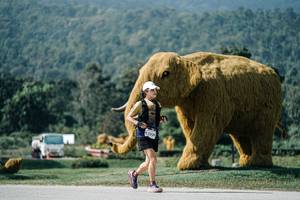 BIB: 
                            <button type="button" onclick="openModal(25915763)" class="btn btn-primary btn-sm float-right btn-popup" data-toggle="modal" data-target=".modal-high-quality">
                        <i class="fas fa-shopping-cart"></i> Add to Cart
                    </button>
                                            <button type="button" onclick="isThisMe(25915763, true)" class="btn btn-success btn-sm float-right btn-popup btn-isme hidden" data-toggle="tooltip" data-placement="bottom" title="นี่คือรูปของคุณใช่ไหม คลิกที่นี่เพื่อเอาเข้าอัลบั้ม">
                        <i class="fas fa-plus"></i> Add to album
                    </button>
                    <button type="button" onclick="isThisMe(25915763, false)" class="btn btn-warning btn-sm float-right btn-popup btn-isnotme hidden">
                        <i class="fas fa-ban"></i> Remove from album
                    </button>