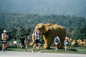 BIB: 
                            <button type="button" onclick="openModal(25884375)" class="btn btn-primary btn-sm float-right btn-popup" data-toggle="modal" data-target=".modal-high-quality">
                        <i class="fas fa-shopping-cart"></i> Add to Cart
                    </button>
                                            <button type="button" onclick="isThisMe(25884375, true)" class="btn btn-success btn-sm float-right btn-popup btn-isme hidden" data-toggle="tooltip" data-placement="bottom" title="นี่คือรูปของคุณใช่ไหม คลิกที่นี่เพื่อเอาเข้าอัลบั้ม">
                        <i class="fas fa-plus"></i> Add to album
                    </button>
                    <button type="button" onclick="isThisMe(25884375, false)" class="btn btn-warning btn-sm float-right btn-popup btn-isnotme hidden">
                        <i class="fas fa-ban"></i> Remove from album
                    </button>