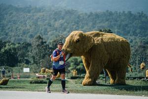 BIB: 
                            <button type="button" onclick="openModal(25966853)" class="btn btn-primary btn-sm float-right btn-popup" data-toggle="modal" data-target=".modal-high-quality">
                        <i class="fas fa-shopping-cart"></i> Add to Cart
                    </button>
                                            <button type="button" onclick="isThisMe(25966853, true)" class="btn btn-success btn-sm float-right btn-popup btn-isme hidden" data-toggle="tooltip" data-placement="bottom" title="นี่คือรูปของคุณใช่ไหม คลิกที่นี่เพื่อเอาเข้าอัลบั้ม">
                        <i class="fas fa-plus"></i> Add to album
                    </button>
                    <button type="button" onclick="isThisMe(25966853, false)" class="btn btn-warning btn-sm float-right btn-popup btn-isnotme hidden">
                        <i class="fas fa-ban"></i> Remove from album
                    </button>