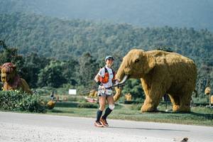 BIB: 
                            <button type="button" onclick="openModal(25899257)" class="btn btn-primary btn-sm float-right btn-popup" data-toggle="modal" data-target=".modal-high-quality">
                        <i class="fas fa-shopping-cart"></i> Add to Cart
                    </button>
                                            <button type="button" onclick="isThisMe(25899257, true)" class="btn btn-success btn-sm float-right btn-popup btn-isme hidden" data-toggle="tooltip" data-placement="bottom" title="นี่คือรูปของคุณใช่ไหม คลิกที่นี่เพื่อเอาเข้าอัลบั้ม">
                        <i class="fas fa-plus"></i> Add to album
                    </button>
                    <button type="button" onclick="isThisMe(25899257, false)" class="btn btn-warning btn-sm float-right btn-popup btn-isnotme hidden">
                        <i class="fas fa-ban"></i> Remove from album
                    </button>