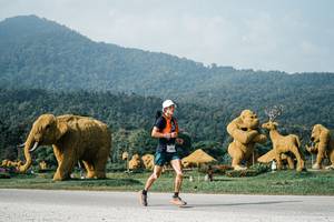 BIB: 
                            <button type="button" onclick="openModal(25871329)" class="btn btn-primary btn-sm float-right btn-popup" data-toggle="modal" data-target=".modal-high-quality">
                        <i class="fas fa-shopping-cart"></i> Add to Cart
                    </button>
                                            <button type="button" onclick="isThisMe(25871329, true)" class="btn btn-success btn-sm float-right btn-popup btn-isme hidden" data-toggle="tooltip" data-placement="bottom" title="นี่คือรูปของคุณใช่ไหม คลิกที่นี่เพื่อเอาเข้าอัลบั้ม">
                        <i class="fas fa-plus"></i> Add to album
                    </button>
                    <button type="button" onclick="isThisMe(25871329, false)" class="btn btn-warning btn-sm float-right btn-popup btn-isnotme hidden">
                        <i class="fas fa-ban"></i> Remove from album
                    </button>