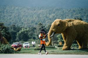 BIB: 
                            <button type="button" onclick="openModal(25950227)" class="btn btn-primary btn-sm float-right btn-popup" data-toggle="modal" data-target=".modal-high-quality">
                        <i class="fas fa-shopping-cart"></i> Add to Cart
                    </button>
                                            <button type="button" onclick="isThisMe(25950227, true)" class="btn btn-success btn-sm float-right btn-popup btn-isme hidden" data-toggle="tooltip" data-placement="bottom" title="นี่คือรูปของคุณใช่ไหม คลิกที่นี่เพื่อเอาเข้าอัลบั้ม">
                        <i class="fas fa-plus"></i> Add to album
                    </button>
                    <button type="button" onclick="isThisMe(25950227, false)" class="btn btn-warning btn-sm float-right btn-popup btn-isnotme hidden">
                        <i class="fas fa-ban"></i> Remove from album
                    </button>