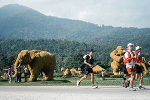 BIB: 
                            <button type="button" onclick="openModal(25882569)" class="btn btn-primary btn-sm float-right btn-popup" data-toggle="modal" data-target=".modal-high-quality">
                        <i class="fas fa-shopping-cart"></i> Add to Cart
                    </button>
                                            <button type="button" onclick="isThisMe(25882569, true)" class="btn btn-success btn-sm float-right btn-popup btn-isme hidden" data-toggle="tooltip" data-placement="bottom" title="นี่คือรูปของคุณใช่ไหม คลิกที่นี่เพื่อเอาเข้าอัลบั้ม">
                        <i class="fas fa-plus"></i> Add to album
                    </button>
                    <button type="button" onclick="isThisMe(25882569, false)" class="btn btn-warning btn-sm float-right btn-popup btn-isnotme hidden">
                        <i class="fas fa-ban"></i> Remove from album
                    </button>