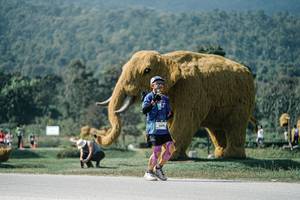 BIB: 
                            <button type="button" onclick="openModal(25923431)" class="btn btn-primary btn-sm float-right btn-popup" data-toggle="modal" data-target=".modal-high-quality">
                        <i class="fas fa-shopping-cart"></i> Add to Cart
                    </button>
                                            <button type="button" onclick="isThisMe(25923431, true)" class="btn btn-success btn-sm float-right btn-popup btn-isme hidden" data-toggle="tooltip" data-placement="bottom" title="นี่คือรูปของคุณใช่ไหม คลิกที่นี่เพื่อเอาเข้าอัลบั้ม">
                        <i class="fas fa-plus"></i> Add to album
                    </button>
                    <button type="button" onclick="isThisMe(25923431, false)" class="btn btn-warning btn-sm float-right btn-popup btn-isnotme hidden">
                        <i class="fas fa-ban"></i> Remove from album
                    </button>