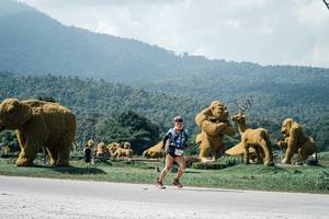 BIB: 
                            <button type="button" onclick="openModal(25969646)" class="btn btn-primary btn-sm float-right btn-popup" data-toggle="modal" data-target=".modal-high-quality">
                        <i class="fas fa-shopping-cart"></i> Add to Cart
                    </button>
                                            <button type="button" onclick="isThisMe(25969646, true)" class="btn btn-success btn-sm float-right btn-popup btn-isme hidden" data-toggle="tooltip" data-placement="bottom" title="นี่คือรูปของคุณใช่ไหม คลิกที่นี่เพื่อเอาเข้าอัลบั้ม">
                        <i class="fas fa-plus"></i> Add to album
                    </button>
                    <button type="button" onclick="isThisMe(25969646, false)" class="btn btn-warning btn-sm float-right btn-popup btn-isnotme hidden">
                        <i class="fas fa-ban"></i> Remove from album
                    </button>