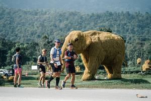 BIB: 
                            <button type="button" onclick="openModal(25911653)" class="btn btn-primary btn-sm float-right btn-popup" data-toggle="modal" data-target=".modal-high-quality">
                        <i class="fas fa-shopping-cart"></i> Add to Cart
                    </button>
                                            <button type="button" onclick="isThisMe(25911653, true)" class="btn btn-success btn-sm float-right btn-popup btn-isme hidden" data-toggle="tooltip" data-placement="bottom" title="นี่คือรูปของคุณใช่ไหม คลิกที่นี่เพื่อเอาเข้าอัลบั้ม">
                        <i class="fas fa-plus"></i> Add to album
                    </button>
                    <button type="button" onclick="isThisMe(25911653, false)" class="btn btn-warning btn-sm float-right btn-popup btn-isnotme hidden">
                        <i class="fas fa-ban"></i> Remove from album
                    </button>