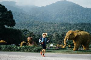 BIB: 
                            <button type="button" onclick="openModal(25871111)" class="btn btn-primary btn-sm float-right btn-popup" data-toggle="modal" data-target=".modal-high-quality">
                        <i class="fas fa-shopping-cart"></i> Add to Cart
                    </button>
                                            <button type="button" onclick="isThisMe(25871111, true)" class="btn btn-success btn-sm float-right btn-popup btn-isme hidden" data-toggle="tooltip" data-placement="bottom" title="นี่คือรูปของคุณใช่ไหม คลิกที่นี่เพื่อเอาเข้าอัลบั้ม">
                        <i class="fas fa-plus"></i> Add to album
                    </button>
                    <button type="button" onclick="isThisMe(25871111, false)" class="btn btn-warning btn-sm float-right btn-popup btn-isnotme hidden">
                        <i class="fas fa-ban"></i> Remove from album
                    </button>