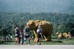 BIB: 
                            <button type="button" onclick="openModal(25881912)" class="btn btn-primary btn-sm float-right btn-popup" data-toggle="modal" data-target=".modal-high-quality">
                        <i class="fas fa-shopping-cart"></i> Add to Cart
                    </button>
                                            <button type="button" onclick="isThisMe(25881912, true)" class="btn btn-success btn-sm float-right btn-popup btn-isme hidden" data-toggle="tooltip" data-placement="bottom" title="นี่คือรูปของคุณใช่ไหม คลิกที่นี่เพื่อเอาเข้าอัลบั้ม">
                        <i class="fas fa-plus"></i> Add to album
                    </button>
                    <button type="button" onclick="isThisMe(25881912, false)" class="btn btn-warning btn-sm float-right btn-popup btn-isnotme hidden">
                        <i class="fas fa-ban"></i> Remove from album
                    </button>