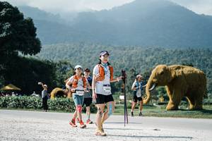 BIB: 
                            <button type="button" onclick="openModal(25924847)" class="btn btn-primary btn-sm float-right btn-popup" data-toggle="modal" data-target=".modal-high-quality">
                        <i class="fas fa-shopping-cart"></i> Add to Cart
                    </button>
                                            <button type="button" onclick="isThisMe(25924847, true)" class="btn btn-success btn-sm float-right btn-popup btn-isme hidden" data-toggle="tooltip" data-placement="bottom" title="นี่คือรูปของคุณใช่ไหม คลิกที่นี่เพื่อเอาเข้าอัลบั้ม">
                        <i class="fas fa-plus"></i> Add to album
                    </button>
                    <button type="button" onclick="isThisMe(25924847, false)" class="btn btn-warning btn-sm float-right btn-popup btn-isnotme hidden">
                        <i class="fas fa-ban"></i> Remove from album
                    </button>