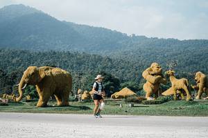 BIB: 
                            <button type="button" onclick="openModal(25888192)" class="btn btn-primary btn-sm float-right btn-popup" data-toggle="modal" data-target=".modal-high-quality">
                        <i class="fas fa-shopping-cart"></i> Add to Cart
                    </button>
                                            <button type="button" onclick="isThisMe(25888192, true)" class="btn btn-success btn-sm float-right btn-popup btn-isme hidden" data-toggle="tooltip" data-placement="bottom" title="นี่คือรูปของคุณใช่ไหม คลิกที่นี่เพื่อเอาเข้าอัลบั้ม">
                        <i class="fas fa-plus"></i> Add to album
                    </button>
                    <button type="button" onclick="isThisMe(25888192, false)" class="btn btn-warning btn-sm float-right btn-popup btn-isnotme hidden">
                        <i class="fas fa-ban"></i> Remove from album
                    </button>