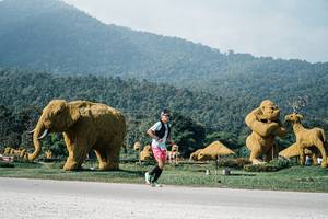 BIB: 
                            <button type="button" onclick="openModal(25886951)" class="btn btn-primary btn-sm float-right btn-popup" data-toggle="modal" data-target=".modal-high-quality">
                        <i class="fas fa-shopping-cart"></i> Add to Cart
                    </button>
                                            <button type="button" onclick="isThisMe(25886951, true)" class="btn btn-success btn-sm float-right btn-popup btn-isme hidden" data-toggle="tooltip" data-placement="bottom" title="นี่คือรูปของคุณใช่ไหม คลิกที่นี่เพื่อเอาเข้าอัลบั้ม">
                        <i class="fas fa-plus"></i> Add to album
                    </button>
                    <button type="button" onclick="isThisMe(25886951, false)" class="btn btn-warning btn-sm float-right btn-popup btn-isnotme hidden">
                        <i class="fas fa-ban"></i> Remove from album
                    </button>