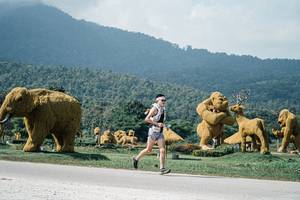 BIB: 
                            <button type="button" onclick="openModal(25935926)" class="btn btn-primary btn-sm float-right btn-popup" data-toggle="modal" data-target=".modal-high-quality">
                        <i class="fas fa-shopping-cart"></i> Add to Cart
                    </button>
                                            <button type="button" onclick="isThisMe(25935926, true)" class="btn btn-success btn-sm float-right btn-popup btn-isme hidden" data-toggle="tooltip" data-placement="bottom" title="นี่คือรูปของคุณใช่ไหม คลิกที่นี่เพื่อเอาเข้าอัลบั้ม">
                        <i class="fas fa-plus"></i> Add to album
                    </button>
                    <button type="button" onclick="isThisMe(25935926, false)" class="btn btn-warning btn-sm float-right btn-popup btn-isnotme hidden">
                        <i class="fas fa-ban"></i> Remove from album
                    </button>