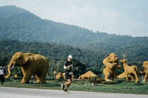 BIB: 
                            <button type="button" onclick="openModal(25871354)" class="btn btn-primary btn-sm float-right btn-popup" data-toggle="modal" data-target=".modal-high-quality">
                        <i class="fas fa-shopping-cart"></i> Add to Cart
                    </button>
                                            <button type="button" onclick="isThisMe(25871354, true)" class="btn btn-success btn-sm float-right btn-popup btn-isme hidden" data-toggle="tooltip" data-placement="bottom" title="นี่คือรูปของคุณใช่ไหม คลิกที่นี่เพื่อเอาเข้าอัลบั้ม">
                        <i class="fas fa-plus"></i> Add to album
                    </button>
                    <button type="button" onclick="isThisMe(25871354, false)" class="btn btn-warning btn-sm float-right btn-popup btn-isnotme hidden">
                        <i class="fas fa-ban"></i> Remove from album
                    </button>