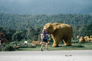 BIB: 
                            <button type="button" onclick="openModal(25889183)" class="btn btn-primary btn-sm float-right btn-popup" data-toggle="modal" data-target=".modal-high-quality">
                        <i class="fas fa-shopping-cart"></i> Add to Cart
                    </button>
                                            <button type="button" onclick="isThisMe(25889183, true)" class="btn btn-success btn-sm float-right btn-popup btn-isme hidden" data-toggle="tooltip" data-placement="bottom" title="นี่คือรูปของคุณใช่ไหม คลิกที่นี่เพื่อเอาเข้าอัลบั้ม">
                        <i class="fas fa-plus"></i> Add to album
                    </button>
                    <button type="button" onclick="isThisMe(25889183, false)" class="btn btn-warning btn-sm float-right btn-popup btn-isnotme hidden">
                        <i class="fas fa-ban"></i> Remove from album
                    </button>