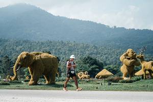 BIB: 
                            <button type="button" onclick="openModal(25955797)" class="btn btn-primary btn-sm float-right btn-popup" data-toggle="modal" data-target=".modal-high-quality">
                        <i class="fas fa-shopping-cart"></i> Add to Cart
                    </button>
                                            <button type="button" onclick="isThisMe(25955797, true)" class="btn btn-success btn-sm float-right btn-popup btn-isme hidden" data-toggle="tooltip" data-placement="bottom" title="นี่คือรูปของคุณใช่ไหม คลิกที่นี่เพื่อเอาเข้าอัลบั้ม">
                        <i class="fas fa-plus"></i> Add to album
                    </button>
                    <button type="button" onclick="isThisMe(25955797, false)" class="btn btn-warning btn-sm float-right btn-popup btn-isnotme hidden">
                        <i class="fas fa-ban"></i> Remove from album
                    </button>