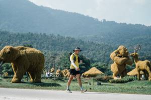 BIB: 
                            <button type="button" onclick="openModal(25966942)" class="btn btn-primary btn-sm float-right btn-popup" data-toggle="modal" data-target=".modal-high-quality">
                        <i class="fas fa-shopping-cart"></i> Add to Cart
                    </button>
                                            <button type="button" onclick="isThisMe(25966942, true)" class="btn btn-success btn-sm float-right btn-popup btn-isme hidden" data-toggle="tooltip" data-placement="bottom" title="นี่คือรูปของคุณใช่ไหม คลิกที่นี่เพื่อเอาเข้าอัลบั้ม">
                        <i class="fas fa-plus"></i> Add to album
                    </button>
                    <button type="button" onclick="isThisMe(25966942, false)" class="btn btn-warning btn-sm float-right btn-popup btn-isnotme hidden">
                        <i class="fas fa-ban"></i> Remove from album
                    </button>