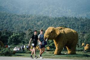 BIB: 
                            <button type="button" onclick="openModal(25875803)" class="btn btn-primary btn-sm float-right btn-popup" data-toggle="modal" data-target=".modal-high-quality">
                        <i class="fas fa-shopping-cart"></i> Add to Cart
                    </button>
                                            <button type="button" onclick="isThisMe(25875803, true)" class="btn btn-success btn-sm float-right btn-popup btn-isme hidden" data-toggle="tooltip" data-placement="bottom" title="นี่คือรูปของคุณใช่ไหม คลิกที่นี่เพื่อเอาเข้าอัลบั้ม">
                        <i class="fas fa-plus"></i> Add to album
                    </button>
                    <button type="button" onclick="isThisMe(25875803, false)" class="btn btn-warning btn-sm float-right btn-popup btn-isnotme hidden">
                        <i class="fas fa-ban"></i> Remove from album
                    </button>