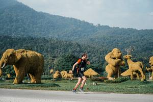 BIB: 
                            <button type="button" onclick="openModal(25870843)" class="btn btn-primary btn-sm float-right btn-popup" data-toggle="modal" data-target=".modal-high-quality">
                        <i class="fas fa-shopping-cart"></i> Add to Cart
                    </button>
                                            <button type="button" onclick="isThisMe(25870843, true)" class="btn btn-success btn-sm float-right btn-popup btn-isme hidden" data-toggle="tooltip" data-placement="bottom" title="นี่คือรูปของคุณใช่ไหม คลิกที่นี่เพื่อเอาเข้าอัลบั้ม">
                        <i class="fas fa-plus"></i> Add to album
                    </button>
                    <button type="button" onclick="isThisMe(25870843, false)" class="btn btn-warning btn-sm float-right btn-popup btn-isnotme hidden">
                        <i class="fas fa-ban"></i> Remove from album
                    </button>