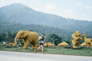 BIB: 
                            <button type="button" onclick="openModal(25870134)" class="btn btn-primary btn-sm float-right btn-popup" data-toggle="modal" data-target=".modal-high-quality">
                        <i class="fas fa-shopping-cart"></i> Add to Cart
                    </button>
                                            <button type="button" onclick="isThisMe(25870134, true)" class="btn btn-success btn-sm float-right btn-popup btn-isme hidden" data-toggle="tooltip" data-placement="bottom" title="นี่คือรูปของคุณใช่ไหม คลิกที่นี่เพื่อเอาเข้าอัลบั้ม">
                        <i class="fas fa-plus"></i> Add to album
                    </button>
                    <button type="button" onclick="isThisMe(25870134, false)" class="btn btn-warning btn-sm float-right btn-popup btn-isnotme hidden">
                        <i class="fas fa-ban"></i> Remove from album
                    </button>