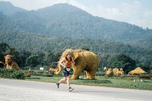 BIB: 
                            <button type="button" onclick="openModal(25870333)" class="btn btn-primary btn-sm float-right btn-popup" data-toggle="modal" data-target=".modal-high-quality">
                        <i class="fas fa-shopping-cart"></i> Add to Cart
                    </button>
                                            <button type="button" onclick="isThisMe(25870333, true)" class="btn btn-success btn-sm float-right btn-popup btn-isme hidden" data-toggle="tooltip" data-placement="bottom" title="นี่คือรูปของคุณใช่ไหม คลิกที่นี่เพื่อเอาเข้าอัลบั้ม">
                        <i class="fas fa-plus"></i> Add to album
                    </button>
                    <button type="button" onclick="isThisMe(25870333, false)" class="btn btn-warning btn-sm float-right btn-popup btn-isnotme hidden">
                        <i class="fas fa-ban"></i> Remove from album
                    </button>