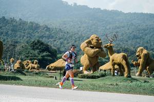 BIB: 
                            <button type="button" onclick="openModal(25977360)" class="btn btn-primary btn-sm float-right btn-popup" data-toggle="modal" data-target=".modal-high-quality">
                        <i class="fas fa-shopping-cart"></i> Add to Cart
                    </button>
                                            <button type="button" onclick="isThisMe(25977360, true)" class="btn btn-success btn-sm float-right btn-popup btn-isme hidden" data-toggle="tooltip" data-placement="bottom" title="นี่คือรูปของคุณใช่ไหม คลิกที่นี่เพื่อเอาเข้าอัลบั้ม">
                        <i class="fas fa-plus"></i> Add to album
                    </button>
                    <button type="button" onclick="isThisMe(25977360, false)" class="btn btn-warning btn-sm float-right btn-popup btn-isnotme hidden">
                        <i class="fas fa-ban"></i> Remove from album
                    </button>