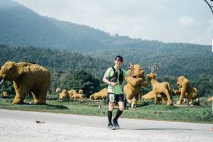 BIB: 
                            <button type="button" onclick="openModal(25895108)" class="btn btn-primary btn-sm float-right btn-popup" data-toggle="modal" data-target=".modal-high-quality">
                        <i class="fas fa-shopping-cart"></i> Add to Cart
                    </button>
                                            <button type="button" onclick="isThisMe(25895108, true)" class="btn btn-success btn-sm float-right btn-popup btn-isme hidden" data-toggle="tooltip" data-placement="bottom" title="นี่คือรูปของคุณใช่ไหม คลิกที่นี่เพื่อเอาเข้าอัลบั้ม">
                        <i class="fas fa-plus"></i> Add to album
                    </button>
                    <button type="button" onclick="isThisMe(25895108, false)" class="btn btn-warning btn-sm float-right btn-popup btn-isnotme hidden">
                        <i class="fas fa-ban"></i> Remove from album
                    </button>