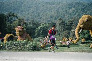 BIB: 
                            <button type="button" onclick="openModal(25899742)" class="btn btn-primary btn-sm float-right btn-popup" data-toggle="modal" data-target=".modal-high-quality">
                        <i class="fas fa-shopping-cart"></i> Add to Cart
                    </button>
                                            <button type="button" onclick="isThisMe(25899742, true)" class="btn btn-success btn-sm float-right btn-popup btn-isme hidden" data-toggle="tooltip" data-placement="bottom" title="นี่คือรูปของคุณใช่ไหม คลิกที่นี่เพื่อเอาเข้าอัลบั้ม">
                        <i class="fas fa-plus"></i> Add to album
                    </button>
                    <button type="button" onclick="isThisMe(25899742, false)" class="btn btn-warning btn-sm float-right btn-popup btn-isnotme hidden">
                        <i class="fas fa-ban"></i> Remove from album
                    </button>