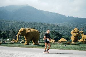 BIB: 
                            <button type="button" onclick="openModal(25914746)" class="btn btn-primary btn-sm float-right btn-popup" data-toggle="modal" data-target=".modal-high-quality">
                        <i class="fas fa-shopping-cart"></i> Add to Cart
                    </button>
                                            <button type="button" onclick="isThisMe(25914746, true)" class="btn btn-success btn-sm float-right btn-popup btn-isme hidden" data-toggle="tooltip" data-placement="bottom" title="นี่คือรูปของคุณใช่ไหม คลิกที่นี่เพื่อเอาเข้าอัลบั้ม">
                        <i class="fas fa-plus"></i> Add to album
                    </button>
                    <button type="button" onclick="isThisMe(25914746, false)" class="btn btn-warning btn-sm float-right btn-popup btn-isnotme hidden">
                        <i class="fas fa-ban"></i> Remove from album
                    </button>