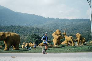 BIB: 
                            <button type="button" onclick="openModal(25892389)" class="btn btn-primary btn-sm float-right btn-popup" data-toggle="modal" data-target=".modal-high-quality">
                        <i class="fas fa-shopping-cart"></i> Add to Cart
                    </button>
                                            <button type="button" onclick="isThisMe(25892389, true)" class="btn btn-success btn-sm float-right btn-popup btn-isme hidden" data-toggle="tooltip" data-placement="bottom" title="นี่คือรูปของคุณใช่ไหม คลิกที่นี่เพื่อเอาเข้าอัลบั้ม">
                        <i class="fas fa-plus"></i> Add to album
                    </button>
                    <button type="button" onclick="isThisMe(25892389, false)" class="btn btn-warning btn-sm float-right btn-popup btn-isnotme hidden">
                        <i class="fas fa-ban"></i> Remove from album
                    </button>