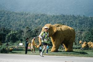 BIB: 
                            <button type="button" onclick="openModal(25890145)" class="btn btn-primary btn-sm float-right btn-popup" data-toggle="modal" data-target=".modal-high-quality">
                        <i class="fas fa-shopping-cart"></i> Add to Cart
                    </button>
                                            <button type="button" onclick="isThisMe(25890145, true)" class="btn btn-success btn-sm float-right btn-popup btn-isme hidden" data-toggle="tooltip" data-placement="bottom" title="นี่คือรูปของคุณใช่ไหม คลิกที่นี่เพื่อเอาเข้าอัลบั้ม">
                        <i class="fas fa-plus"></i> Add to album
                    </button>
                    <button type="button" onclick="isThisMe(25890145, false)" class="btn btn-warning btn-sm float-right btn-popup btn-isnotme hidden">
                        <i class="fas fa-ban"></i> Remove from album
                    </button>