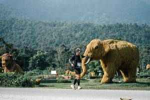 BIB: 
                            <button type="button" onclick="openModal(25893627)" class="btn btn-primary btn-sm float-right btn-popup" data-toggle="modal" data-target=".modal-high-quality">
                        <i class="fas fa-shopping-cart"></i> Add to Cart
                    </button>
                                            <button type="button" onclick="isThisMe(25893627, true)" class="btn btn-success btn-sm float-right btn-popup btn-isme hidden" data-toggle="tooltip" data-placement="bottom" title="นี่คือรูปของคุณใช่ไหม คลิกที่นี่เพื่อเอาเข้าอัลบั้ม">
                        <i class="fas fa-plus"></i> Add to album
                    </button>
                    <button type="button" onclick="isThisMe(25893627, false)" class="btn btn-warning btn-sm float-right btn-popup btn-isnotme hidden">
                        <i class="fas fa-ban"></i> Remove from album
                    </button>