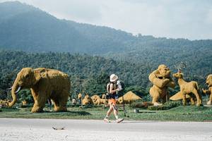 BIB: 
                            <button type="button" onclick="openModal(25889000)" class="btn btn-primary btn-sm float-right btn-popup" data-toggle="modal" data-target=".modal-high-quality">
                        <i class="fas fa-shopping-cart"></i> Add to Cart
                    </button>
                                            <button type="button" onclick="isThisMe(25889000, true)" class="btn btn-success btn-sm float-right btn-popup btn-isme hidden" data-toggle="tooltip" data-placement="bottom" title="นี่คือรูปของคุณใช่ไหม คลิกที่นี่เพื่อเอาเข้าอัลบั้ม">
                        <i class="fas fa-plus"></i> Add to album
                    </button>
                    <button type="button" onclick="isThisMe(25889000, false)" class="btn btn-warning btn-sm float-right btn-popup btn-isnotme hidden">
                        <i class="fas fa-ban"></i> Remove from album
                    </button>