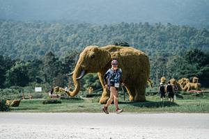 BIB: 
                            <button type="button" onclick="openModal(25969594)" class="btn btn-primary btn-sm float-right btn-popup" data-toggle="modal" data-target=".modal-high-quality">
                        <i class="fas fa-shopping-cart"></i> Add to Cart
                    </button>
                                            <button type="button" onclick="isThisMe(25969594, true)" class="btn btn-success btn-sm float-right btn-popup btn-isme hidden" data-toggle="tooltip" data-placement="bottom" title="นี่คือรูปของคุณใช่ไหม คลิกที่นี่เพื่อเอาเข้าอัลบั้ม">
                        <i class="fas fa-plus"></i> Add to album
                    </button>
                    <button type="button" onclick="isThisMe(25969594, false)" class="btn btn-warning btn-sm float-right btn-popup btn-isnotme hidden">
                        <i class="fas fa-ban"></i> Remove from album
                    </button>