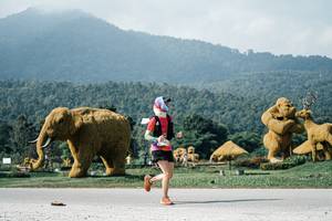 BIB: 
                            <button type="button" onclick="openModal(25905464)" class="btn btn-primary btn-sm float-right btn-popup" data-toggle="modal" data-target=".modal-high-quality">
                        <i class="fas fa-shopping-cart"></i> Add to Cart
                    </button>
                                            <button type="button" onclick="isThisMe(25905464, true)" class="btn btn-success btn-sm float-right btn-popup btn-isme hidden" data-toggle="tooltip" data-placement="bottom" title="นี่คือรูปของคุณใช่ไหม คลิกที่นี่เพื่อเอาเข้าอัลบั้ม">
                        <i class="fas fa-plus"></i> Add to album
                    </button>
                    <button type="button" onclick="isThisMe(25905464, false)" class="btn btn-warning btn-sm float-right btn-popup btn-isnotme hidden">
                        <i class="fas fa-ban"></i> Remove from album
                    </button>