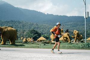 BIB: 
                            <button type="button" onclick="openModal(25949193)" class="btn btn-primary btn-sm float-right btn-popup" data-toggle="modal" data-target=".modal-high-quality">
                        <i class="fas fa-shopping-cart"></i> Add to Cart
                    </button>
                                            <button type="button" onclick="isThisMe(25949193, true)" class="btn btn-success btn-sm float-right btn-popup btn-isme hidden" data-toggle="tooltip" data-placement="bottom" title="นี่คือรูปของคุณใช่ไหม คลิกที่นี่เพื่อเอาเข้าอัลบั้ม">
                        <i class="fas fa-plus"></i> Add to album
                    </button>
                    <button type="button" onclick="isThisMe(25949193, false)" class="btn btn-warning btn-sm float-right btn-popup btn-isnotme hidden">
                        <i class="fas fa-ban"></i> Remove from album
                    </button>