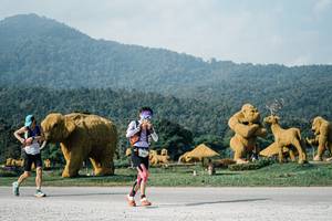 BIB: 
                            <button type="button" onclick="openModal(25871950)" class="btn btn-primary btn-sm float-right btn-popup" data-toggle="modal" data-target=".modal-high-quality">
                        <i class="fas fa-shopping-cart"></i> Add to Cart
                    </button>
                                            <button type="button" onclick="isThisMe(25871950, true)" class="btn btn-success btn-sm float-right btn-popup btn-isme hidden" data-toggle="tooltip" data-placement="bottom" title="นี่คือรูปของคุณใช่ไหม คลิกที่นี่เพื่อเอาเข้าอัลบั้ม">
                        <i class="fas fa-plus"></i> Add to album
                    </button>
                    <button type="button" onclick="isThisMe(25871950, false)" class="btn btn-warning btn-sm float-right btn-popup btn-isnotme hidden">
                        <i class="fas fa-ban"></i> Remove from album
                    </button>