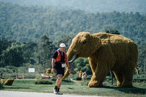 BIB: 
                            <button type="button" onclick="openModal(25976565)" class="btn btn-primary btn-sm float-right btn-popup" data-toggle="modal" data-target=".modal-high-quality">
                        <i class="fas fa-shopping-cart"></i> Add to Cart
                    </button>
                                            <button type="button" onclick="isThisMe(25976565, true)" class="btn btn-success btn-sm float-right btn-popup btn-isme hidden" data-toggle="tooltip" data-placement="bottom" title="นี่คือรูปของคุณใช่ไหม คลิกที่นี่เพื่อเอาเข้าอัลบั้ม">
                        <i class="fas fa-plus"></i> Add to album
                    </button>
                    <button type="button" onclick="isThisMe(25976565, false)" class="btn btn-warning btn-sm float-right btn-popup btn-isnotme hidden">
                        <i class="fas fa-ban"></i> Remove from album
                    </button>